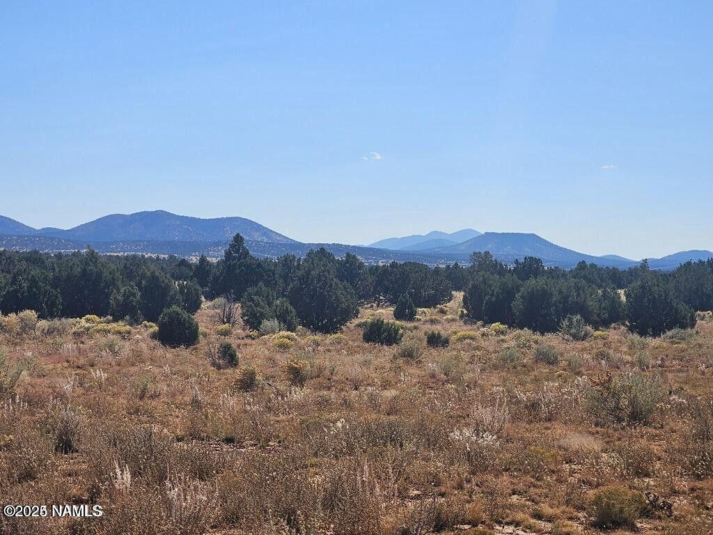 4378 Lasso Loop Williams, AZ 86046 - Photo 2 of 29 20240116235405413785000000-o