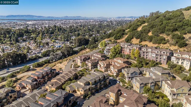 a view of a garden with a building in the background