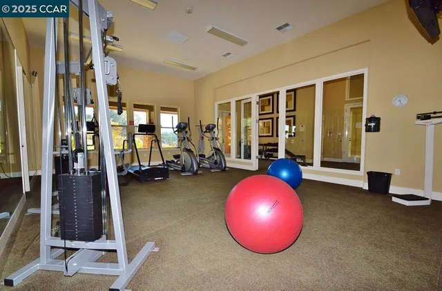 a view of a yard and an trees