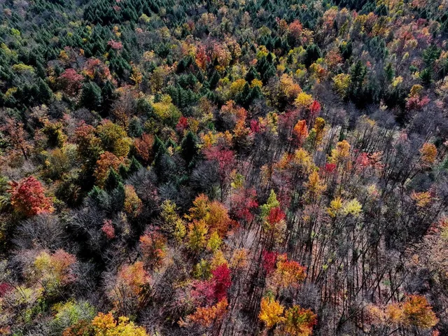 $929,000 | 2334 Pumpkin Village Road, Fairfield, VT 05450