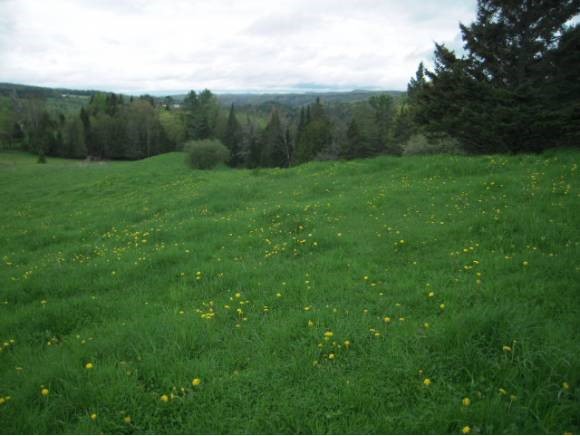 215 North Vt Rt Cabot, VT 05647 - Photo 1 of 1