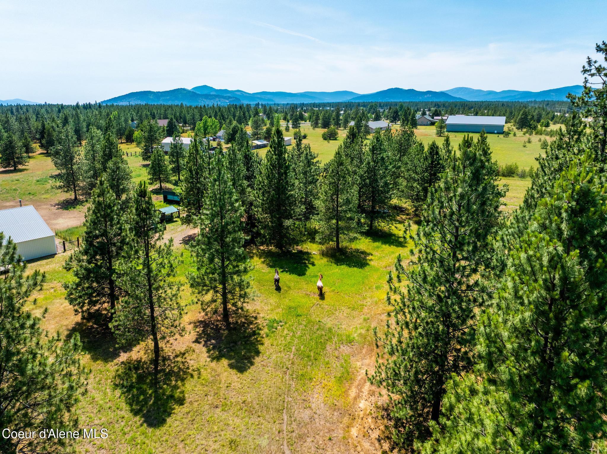 30267 North Wheatridge Road Athol, ID 83801 - Photo 47 of 79 DJI_20250617053025_0067_D-HDR