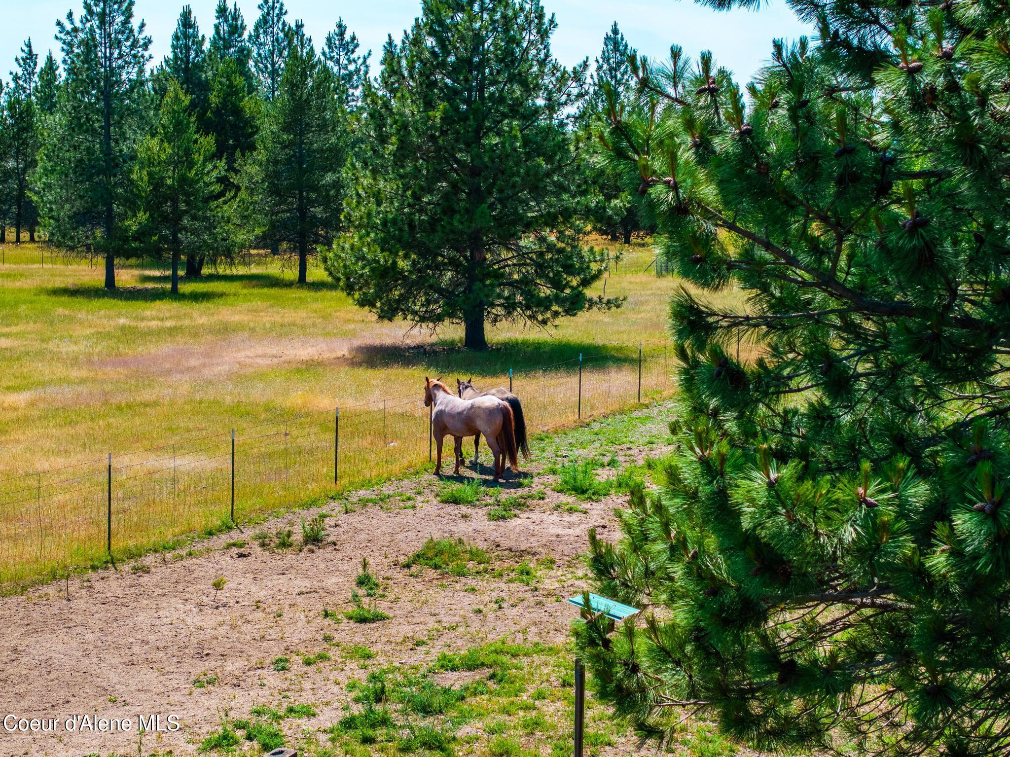 30267 North Wheatridge Road Athol, ID 83801 - Photo 51 of 79 DJI_20250617053417_0108_D-HDR-2