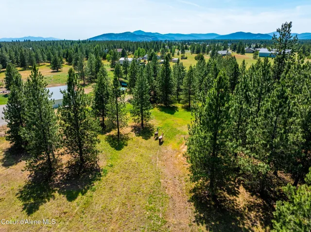 $999,000 | 30267 North Wheatridge Road, Athol, ID 83801