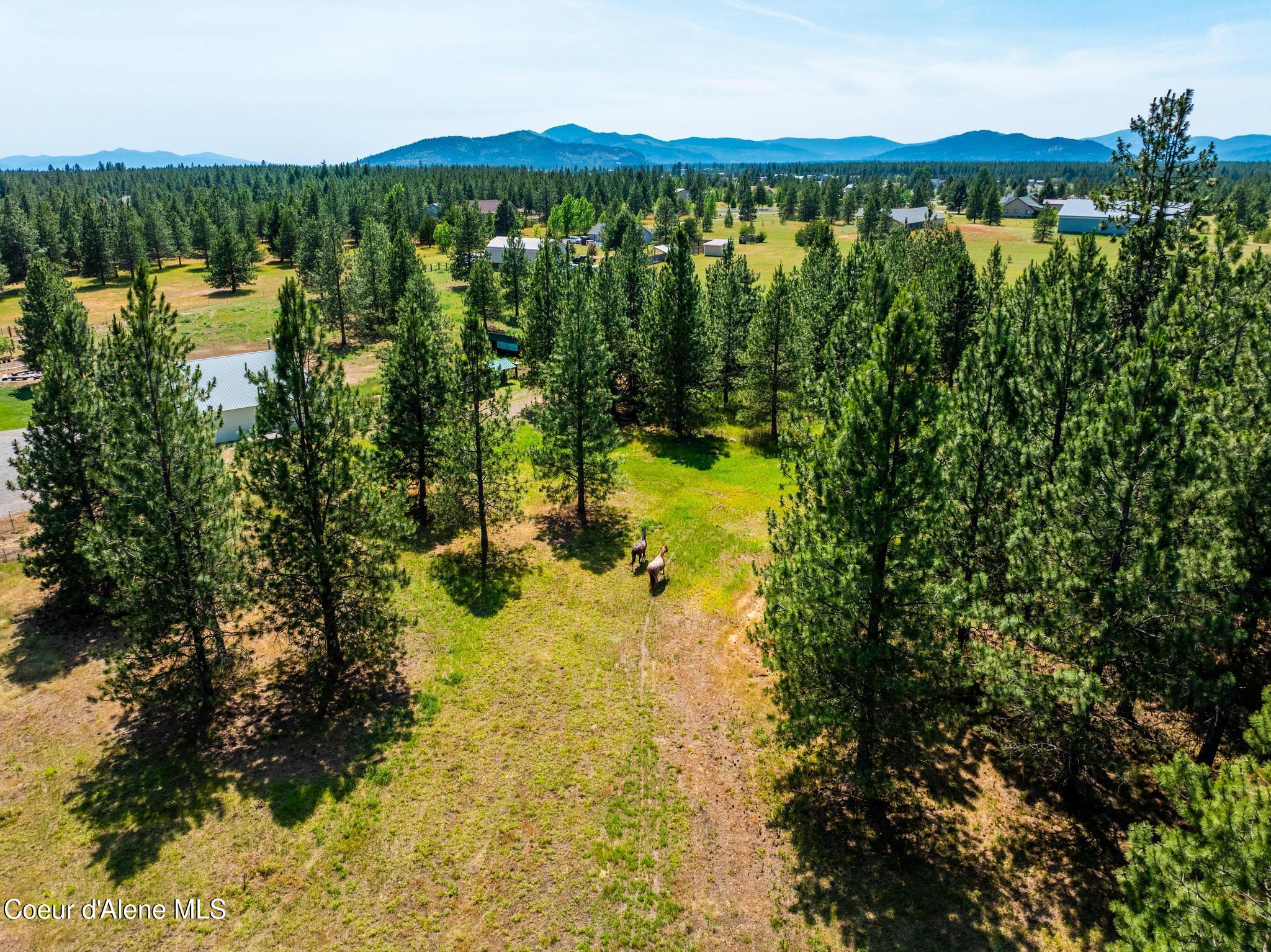 30267 North Wheatridge Road Athol, ID 83801 - Photo 79 of 79 DJI_20250617053022_0063_D-HDR