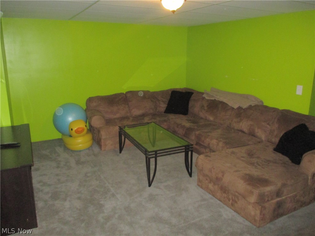 3345 South Raccoon Road Canfield, OH 44406 - Photo 15 of 15 lower rec room
