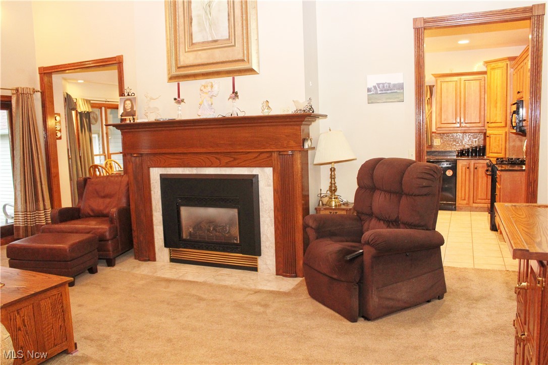 1999 Warner Road Vienna, OH 44473 - Photo 8 of 50 Living Room with Custom Fireplace