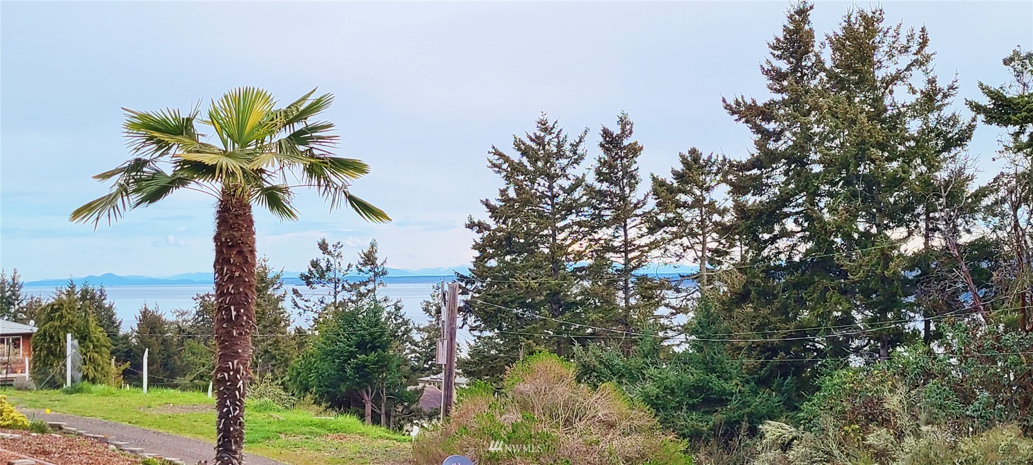 410 Discovery Way Sequim, WA 98382 - Photo 34 of 34 a view of a palm trees in a yard
