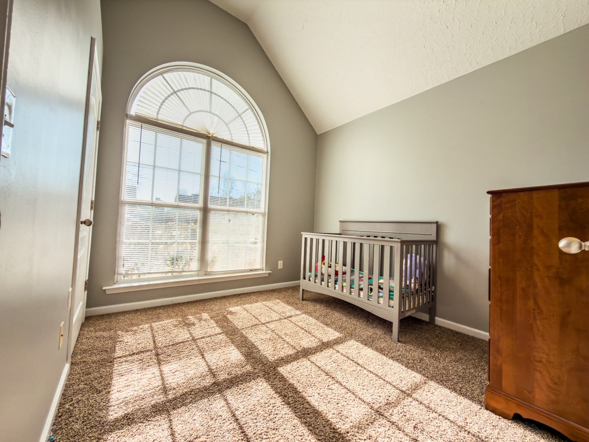 1122 Thompson Farms Street Lascassas, TN 37085 - Photo 9 of 12 an empty room with windows