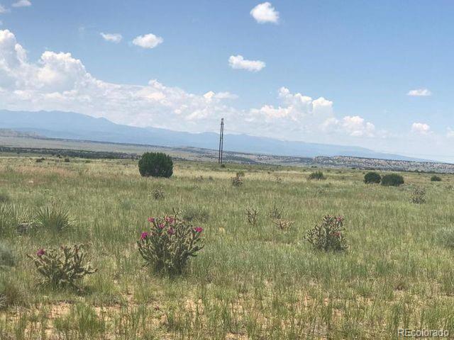 Lot 66 Turkey Ridge Road Walsenburg, CO 81089 - Photo 9 of 9