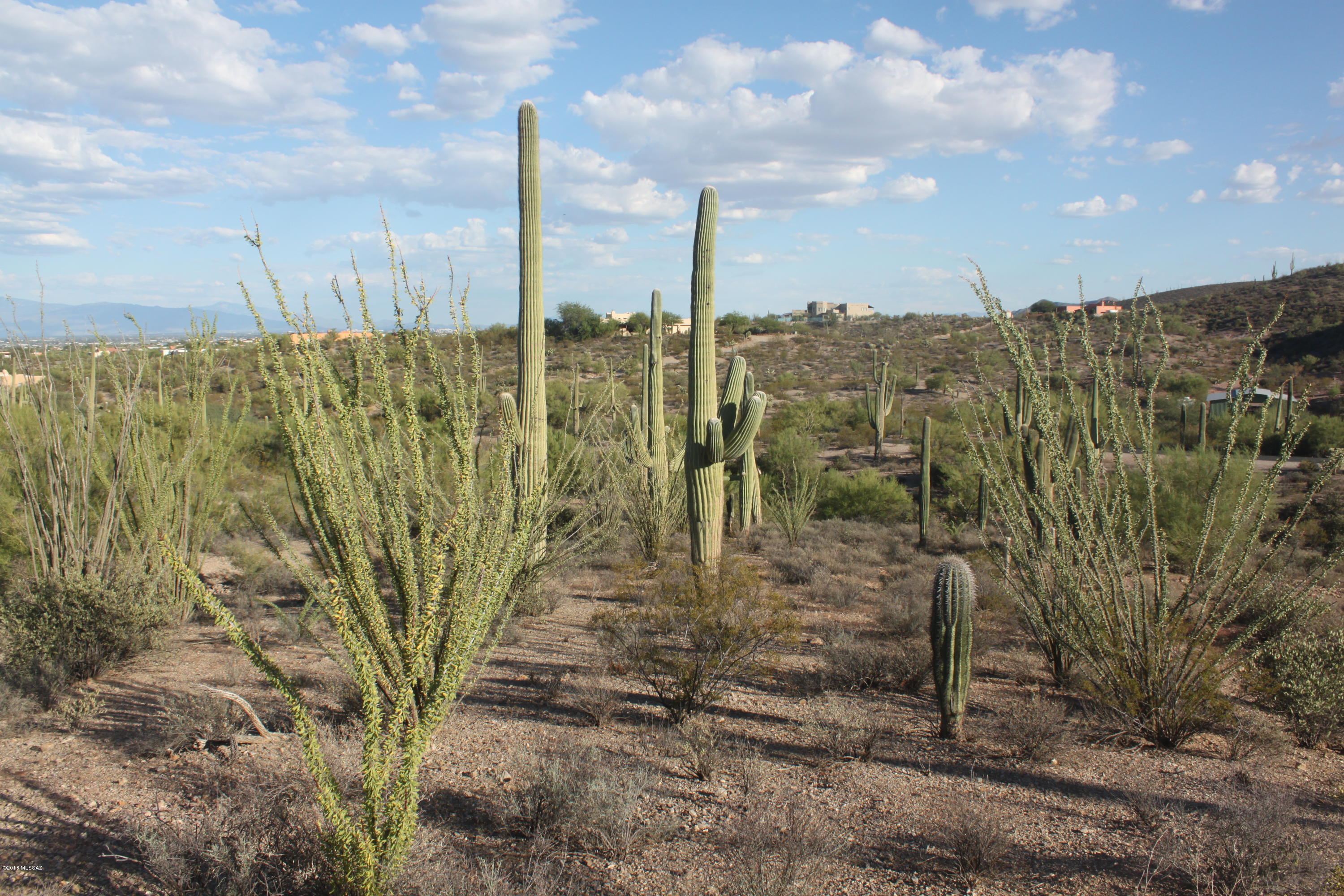 6379 West Park Ridge Road Tucson, AZ 85743 - Photo 10 of 30 Gallery Image 10