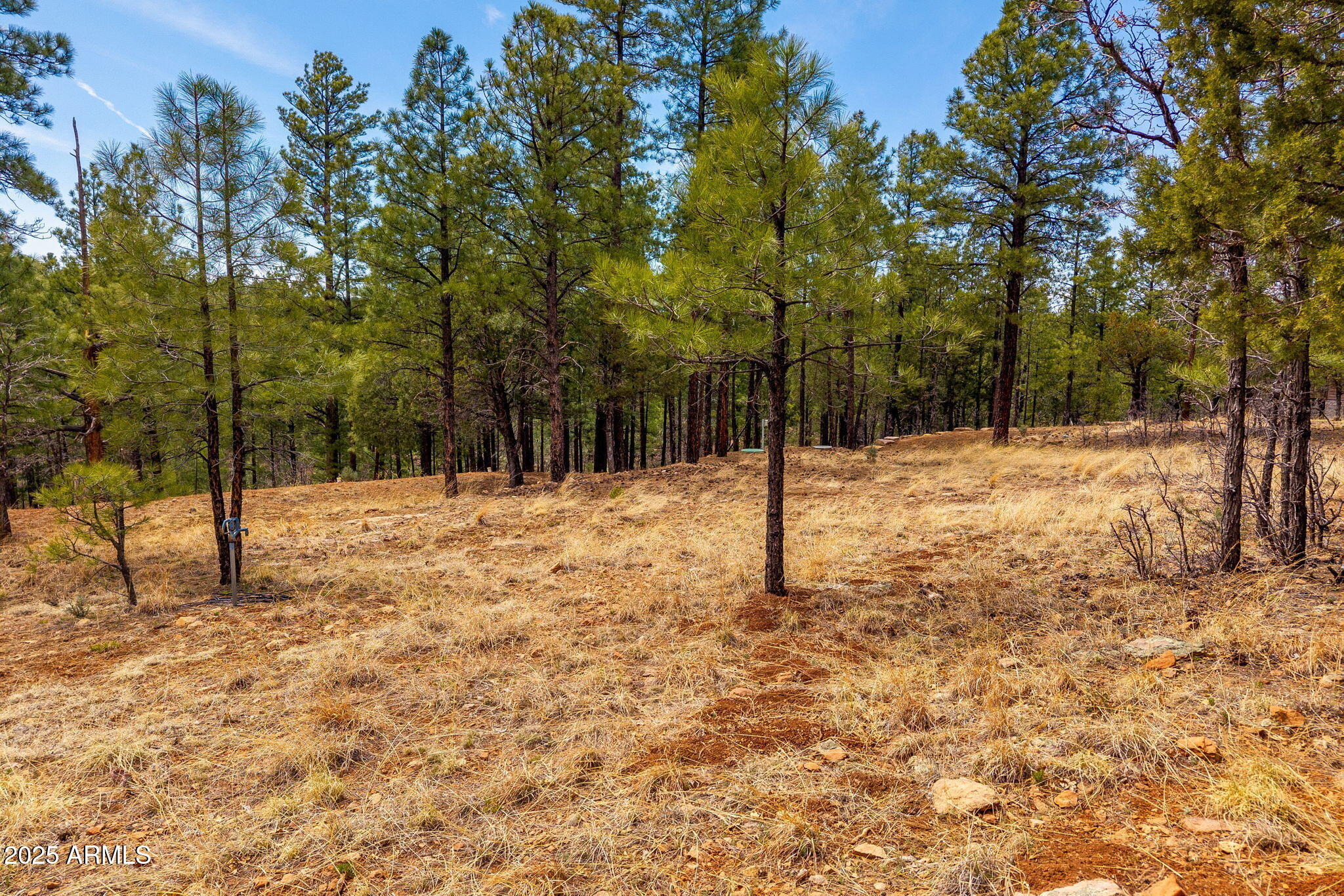 2526 Well Water Road, Unit 322 Happy Jack, AZ 86024 - Photo 12 of 15 a street view yard covered with snow