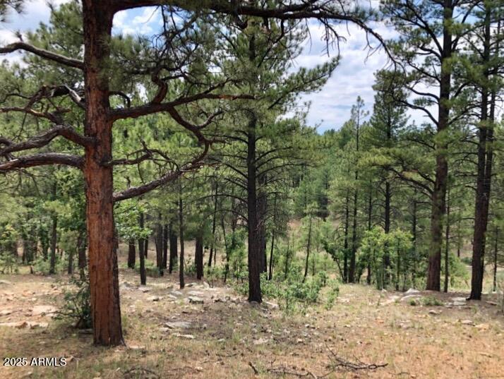 2526 Well Water Road, Unit 322 Happy Jack, AZ 86024 - Photo 15 of 15 a view of outdoor space with trees