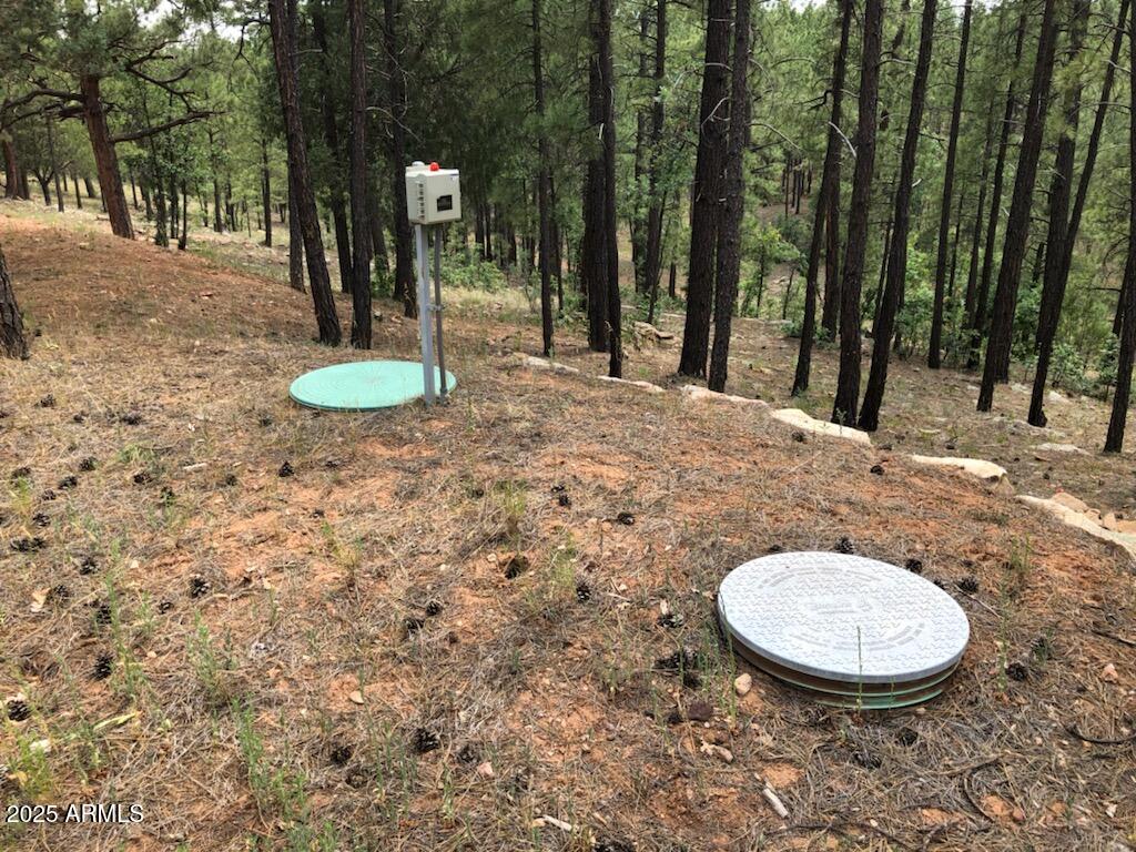 2526 Well Water Road, Unit 322 Happy Jack, AZ 86024 - Photo 3 of 15 a view of a backyard with fountain