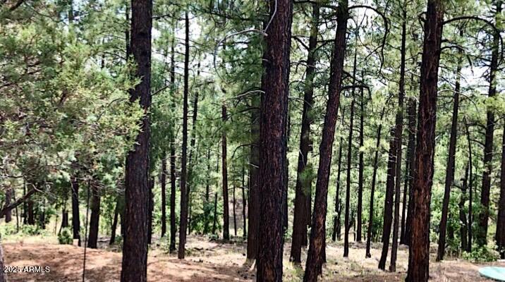 2526 Well Water Road, Unit 322 Happy Jack, AZ 86024 - Photo 4 of 15 a view of forest