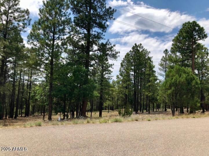 2526 Well Water Road, Unit 322 Happy Jack, AZ 86024 - Photo 5 of 15 a view of a yard with snow on the road