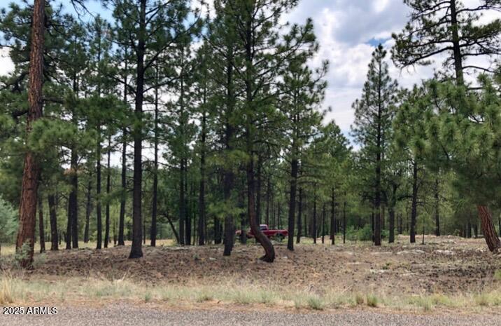 2526 Well Water Road, Unit 322 Happy Jack, AZ 86024 - Photo 6 of 15 a view of a backyard