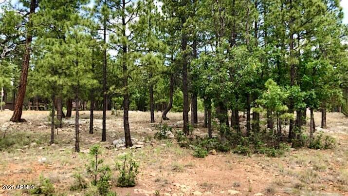 2526 Well Water Road, Unit 322 Happy Jack, AZ 86024 - Photo 7 of 15 a view of covered with snow