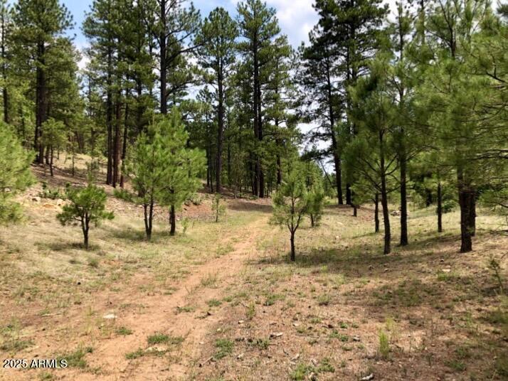2526 Well Water Road, Unit 322 Happy Jack, AZ 86024 - Photo 9 of 15 a view of outdoor space with trees