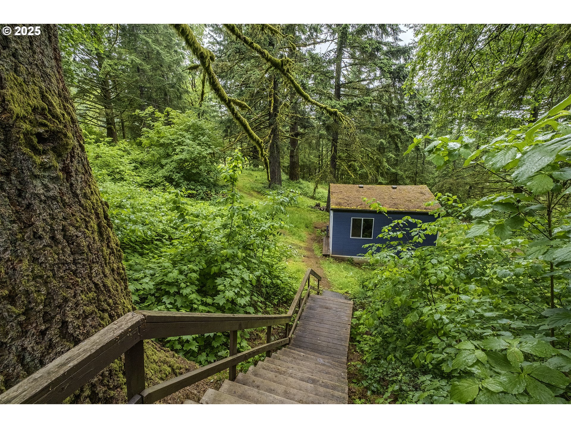 21445 Southwest Ornduff Road Hillsboro, OR 97123 - Photo 20 of 35 Gallery Image 20