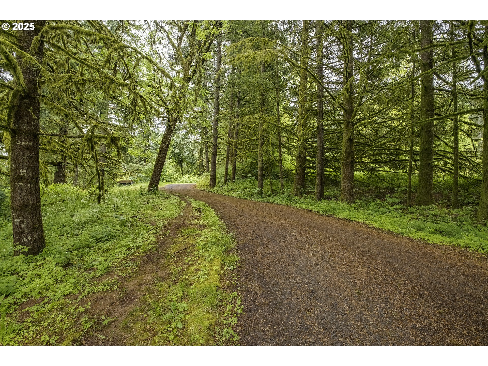 21445 Southwest Ornduff Road Hillsboro, OR 97123 - Photo 28 of 35 Gallery Image 28