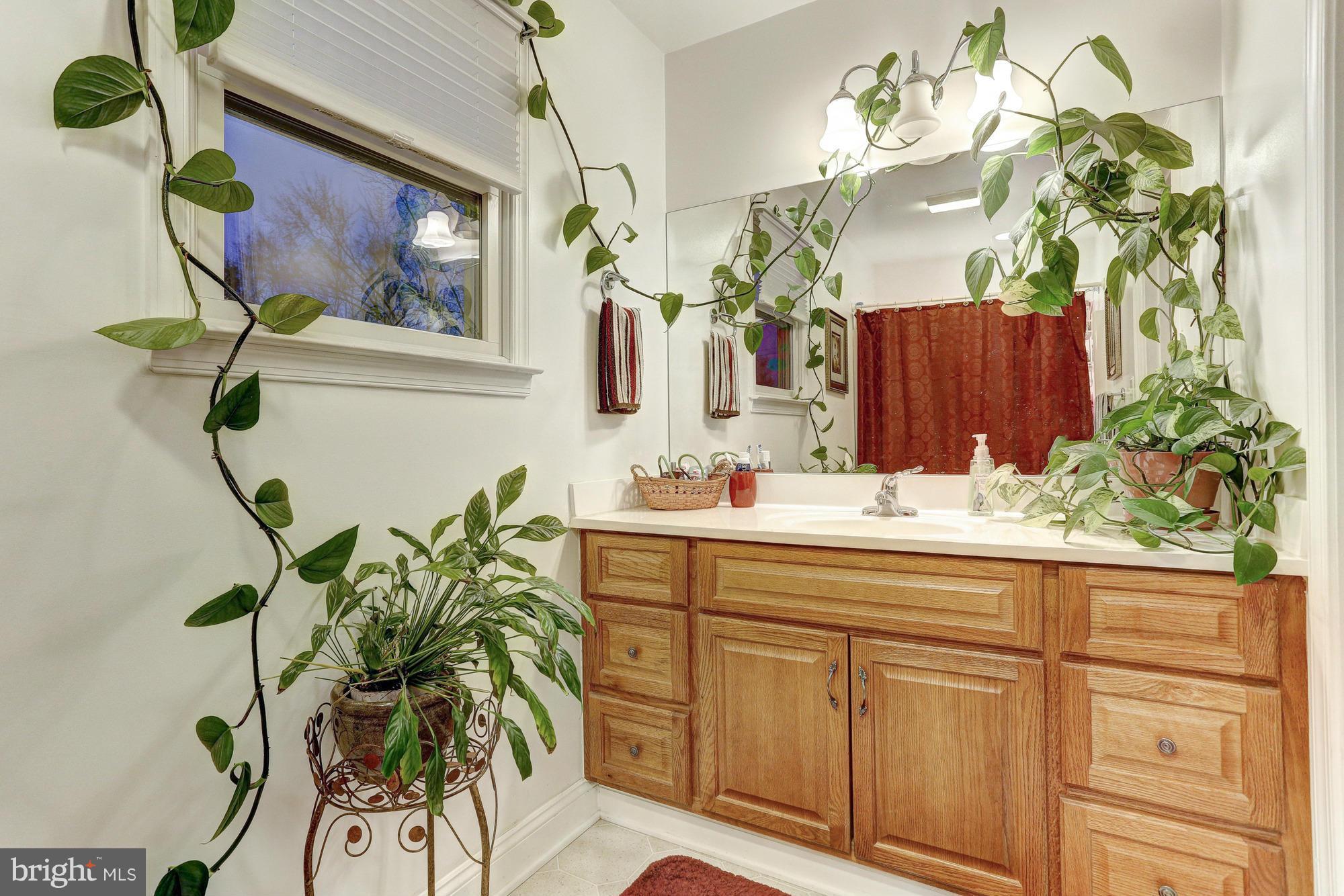 6412 Sherwood Road Baltimore, MD 21239 - Photo 22 of 30 Master bath