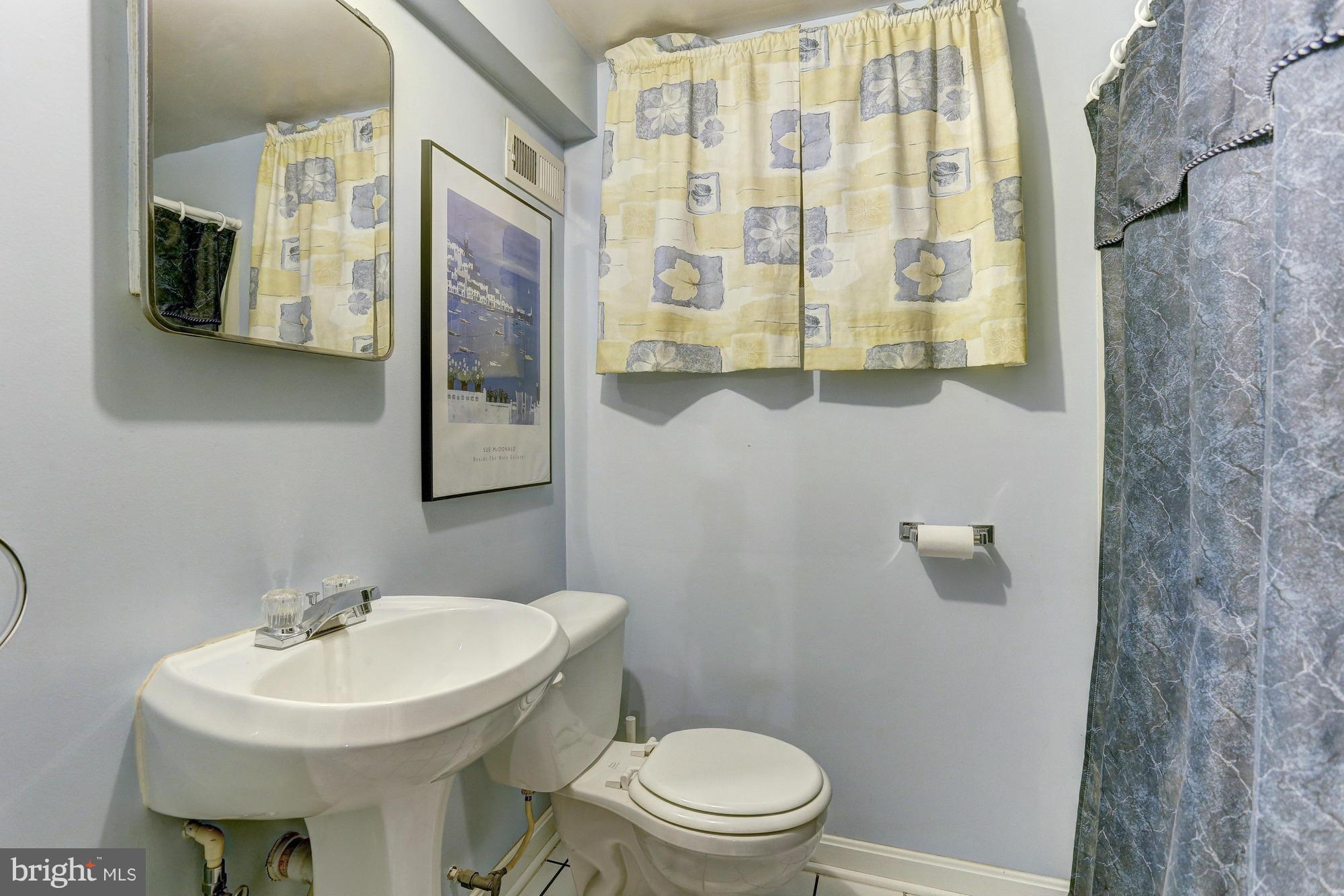 6412 Sherwood Road Baltimore, MD 21239 - Photo 28 of 30 Full bath in lower level.