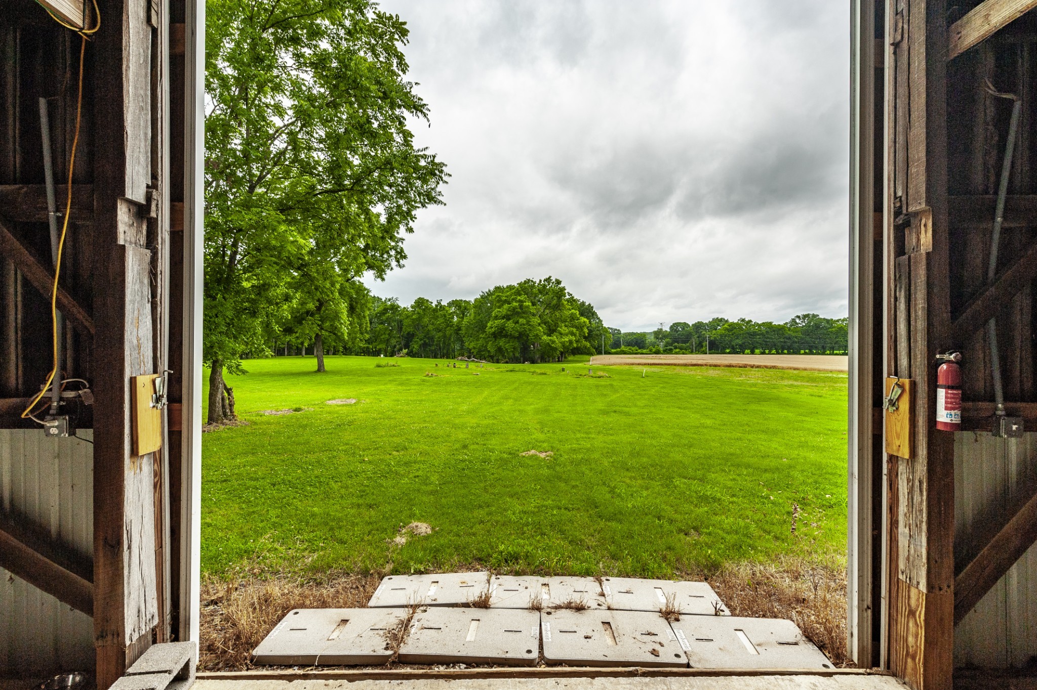 1113 East Robertson Road Castalian Springs, TN 37031 - Photo 17 of 26