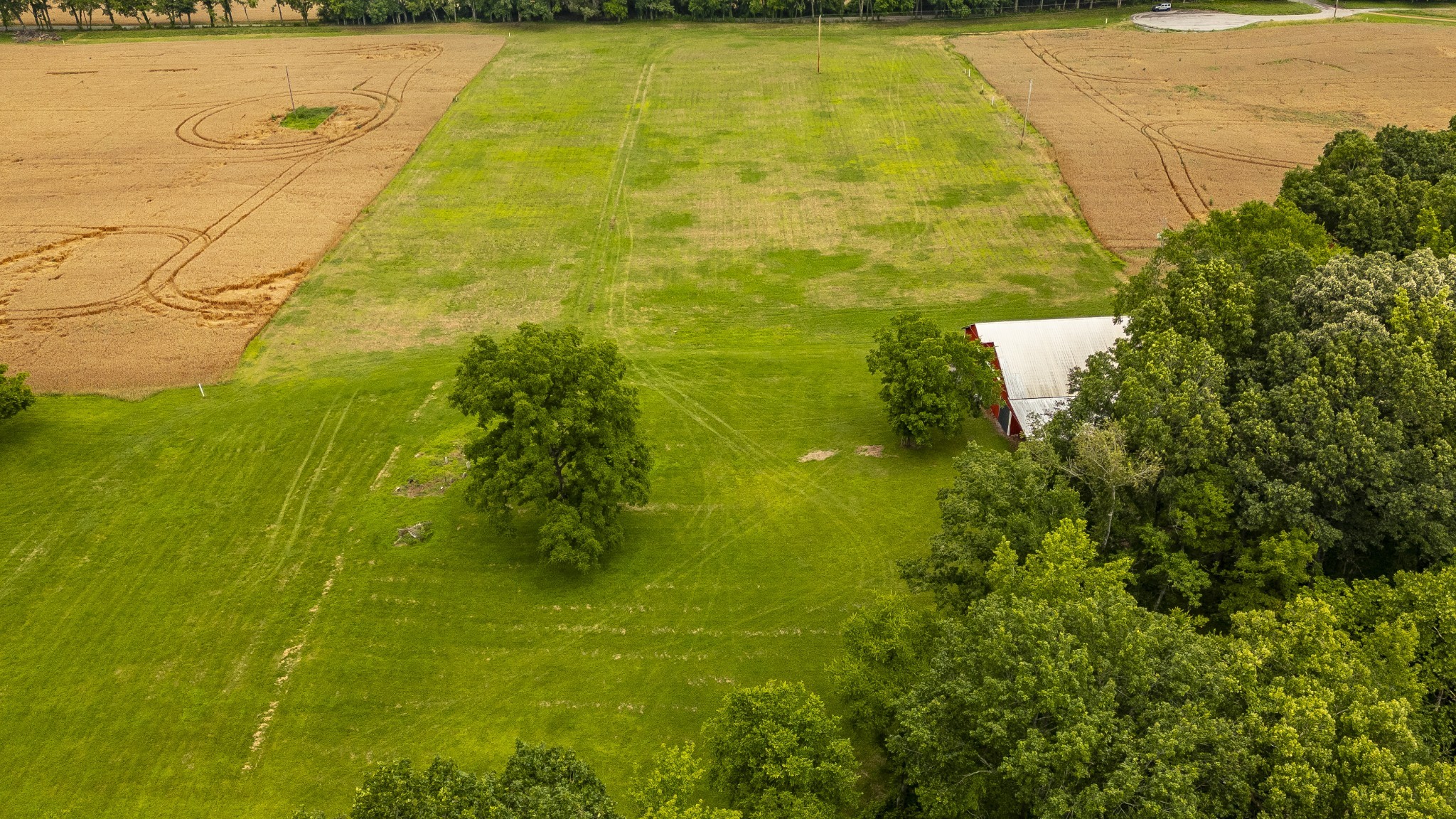 1113 East Robertson Road Castalian Springs, TN 37031 - Photo 20 of 26