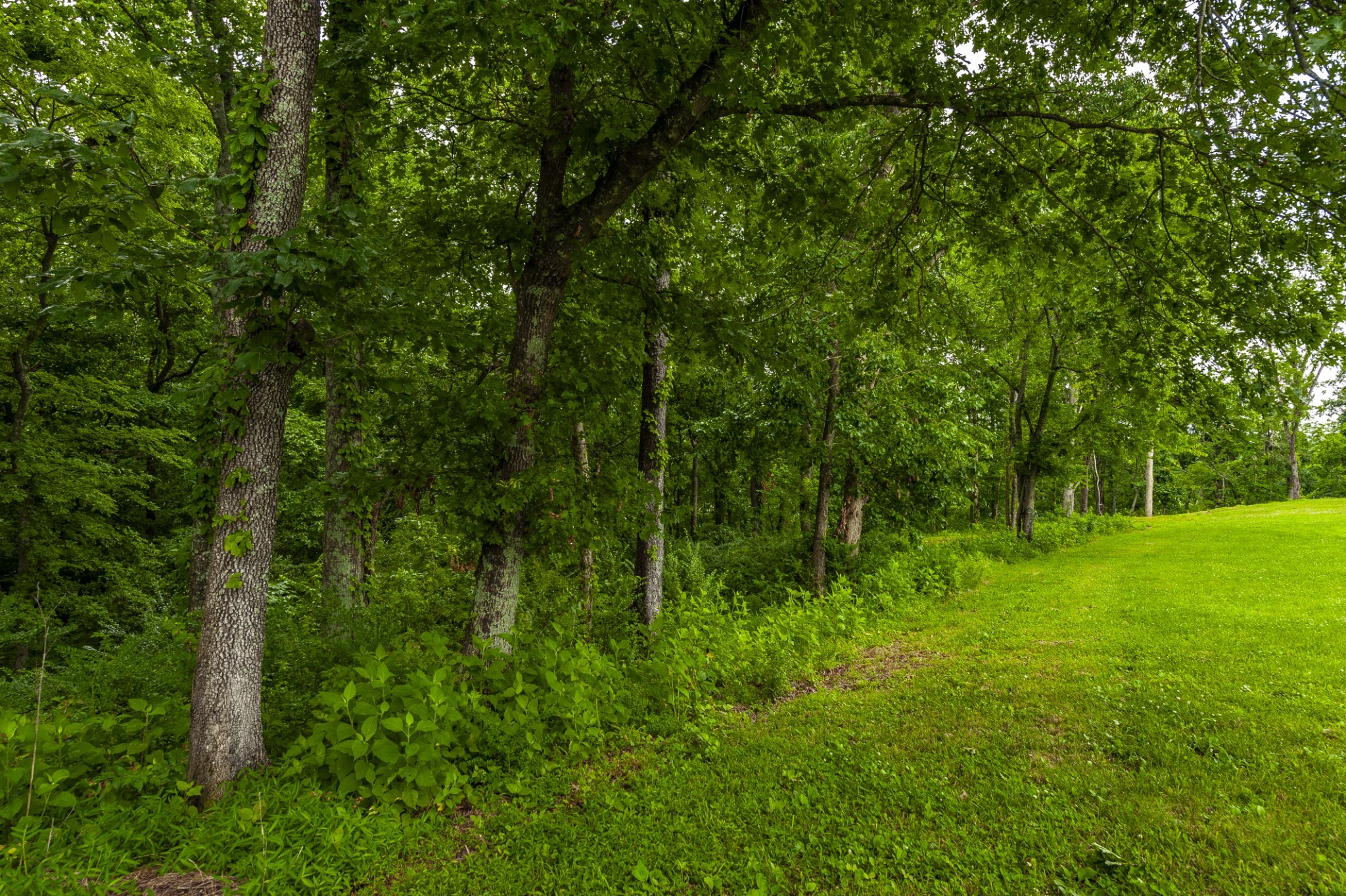 1113 East Robertson Road Castalian Springs, TN 37031 - Photo 22 of 26