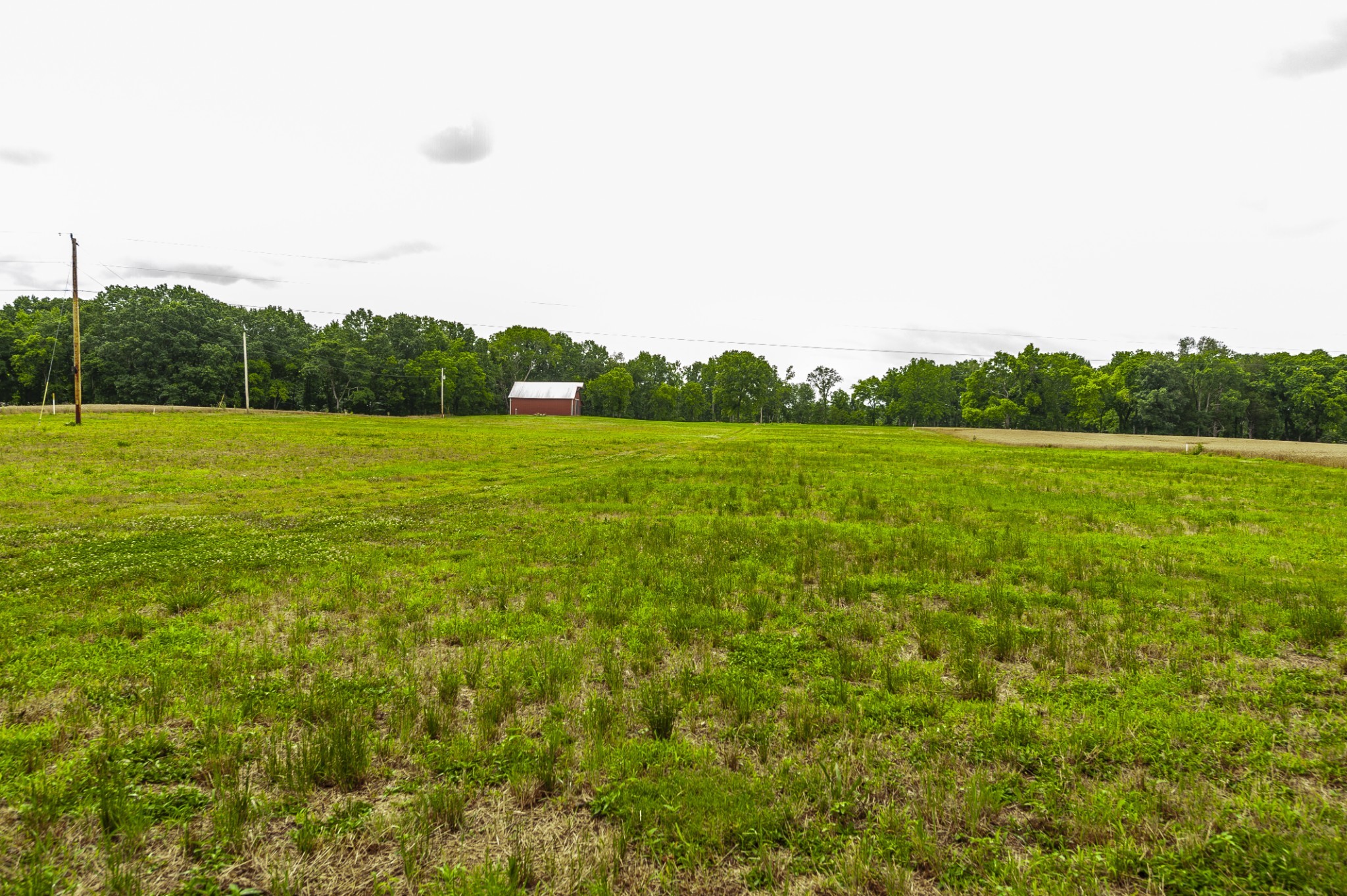 1113 East Robertson Road Castalian Springs, TN 37031 - Photo 23 of 26