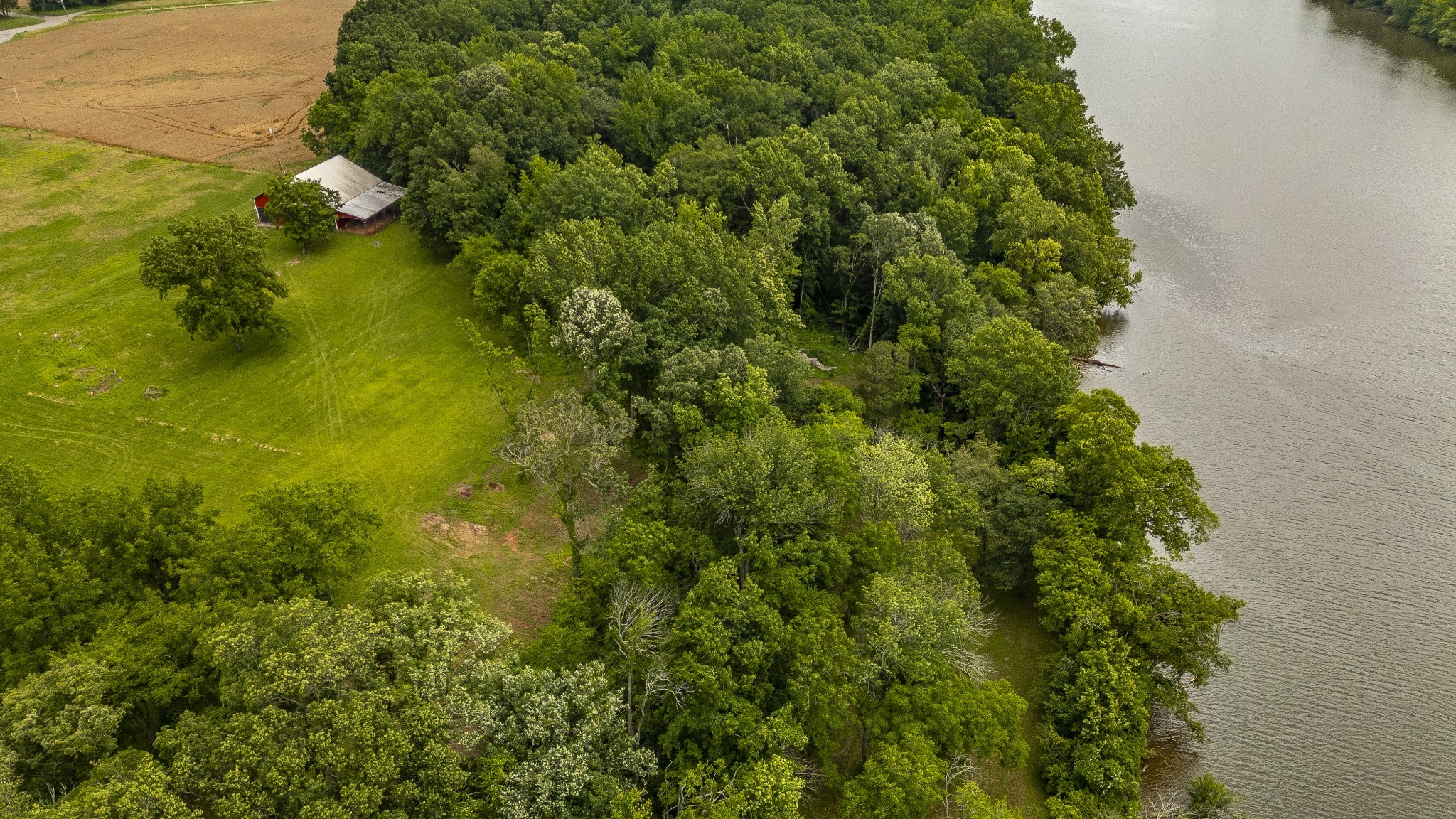 1113 East Robertson Road Castalian Springs, TN 37031 - Photo 25 of 26