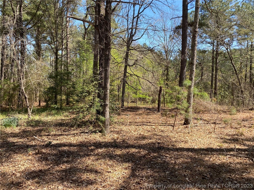 289 Bret Road Cameron, NC 28326 - Photo 3 of 9 a backyard of a house with lots of green space
