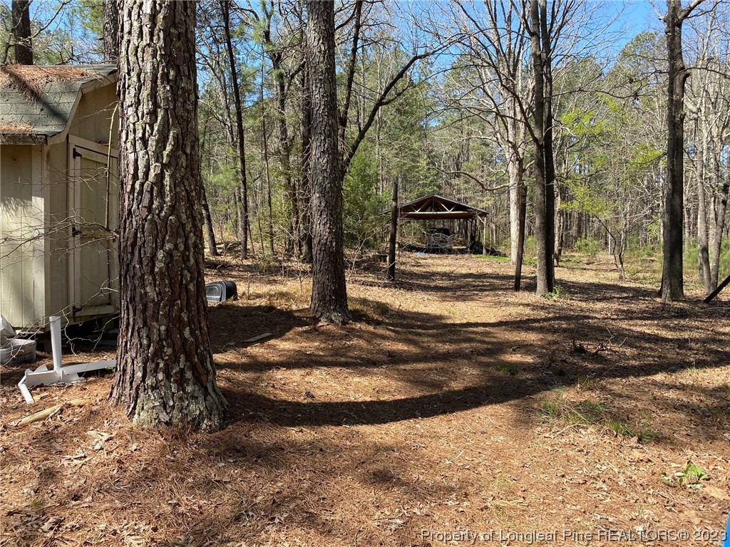 289 Bret Road Cameron, NC 28326 - Photo 4 of 9 a view of a backyard of the house