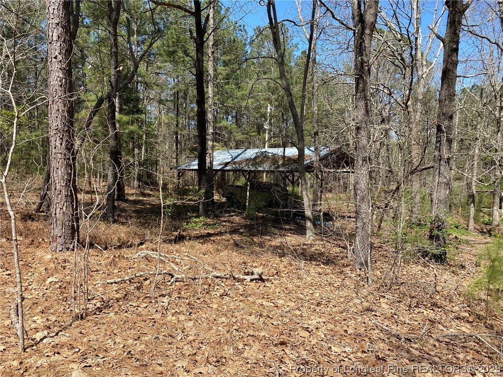 289 Bret Road Cameron, NC 28326 - Photo 5 of 9 a view of outdoor space with green space