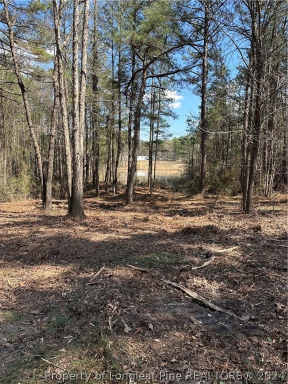 289 Bret Road Cameron, NC 28326 - Photo 6 of 9 a backyard of a house with lots of green space