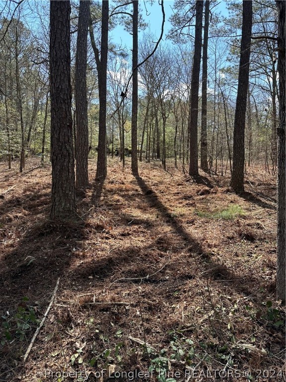 289 Bret Road Cameron, NC 28326 - Photo 8 of 9 a view of outdoor space with lots of trees