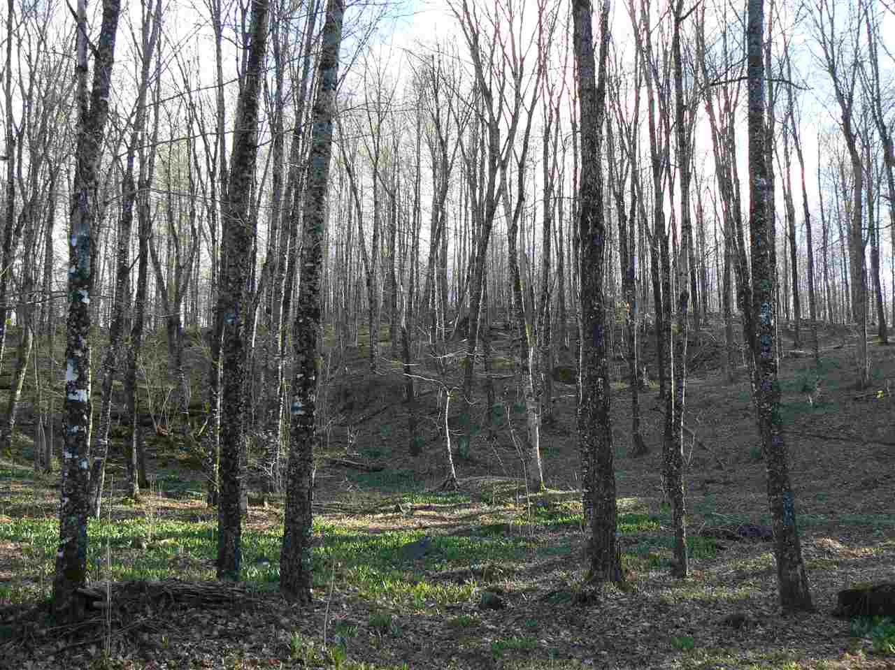 30 Sap Hill Road Clarksville, NH 03592 - Photo 22 of 23