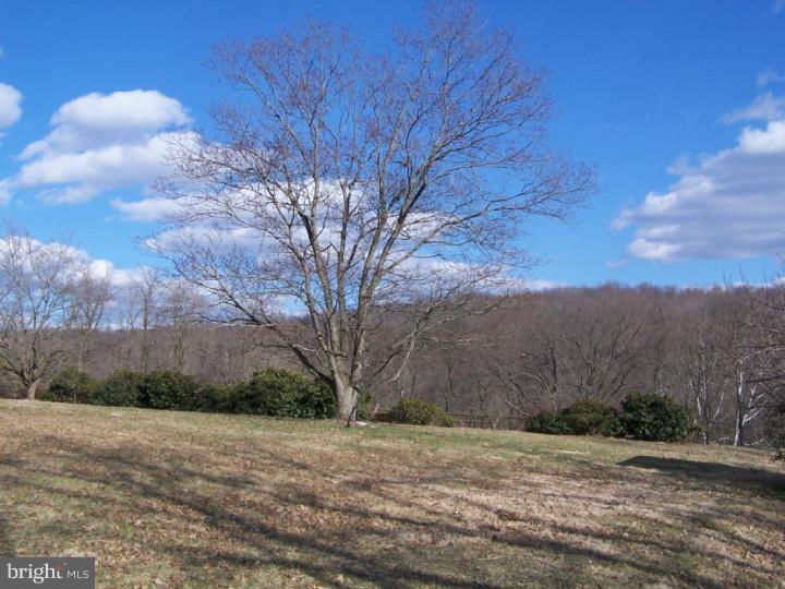 1034 Hosensack Road Palm, PA 18070 - Photo 4 of 22 Gallery Image 4