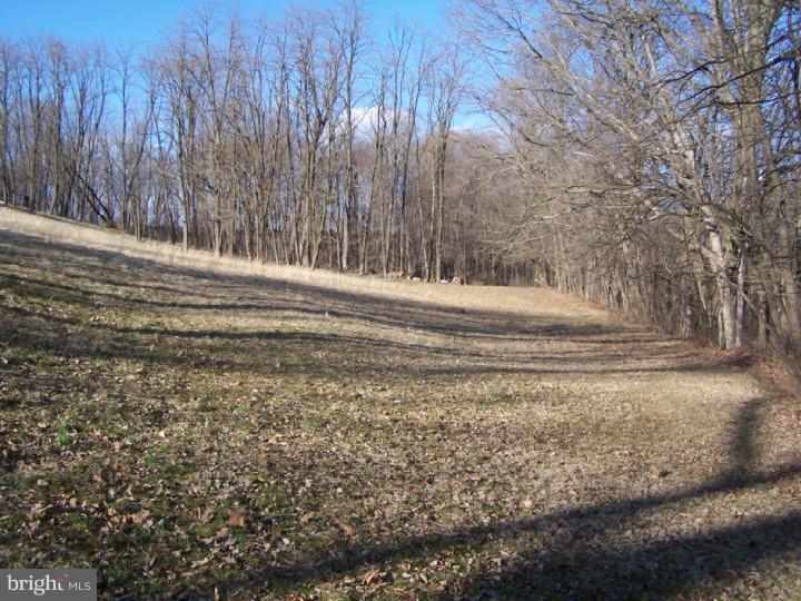 1034 Hosensack Road Palm, PA 18070 - Photo 5 of 22 Gallery Image 5