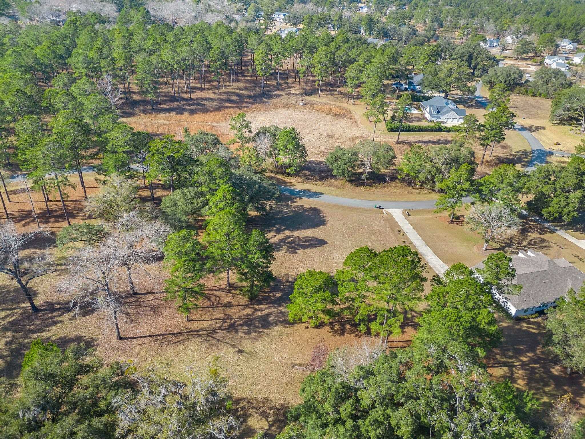 0 Pine Fair Way Tallahassee, FL 32309 - Photo 3 of 6