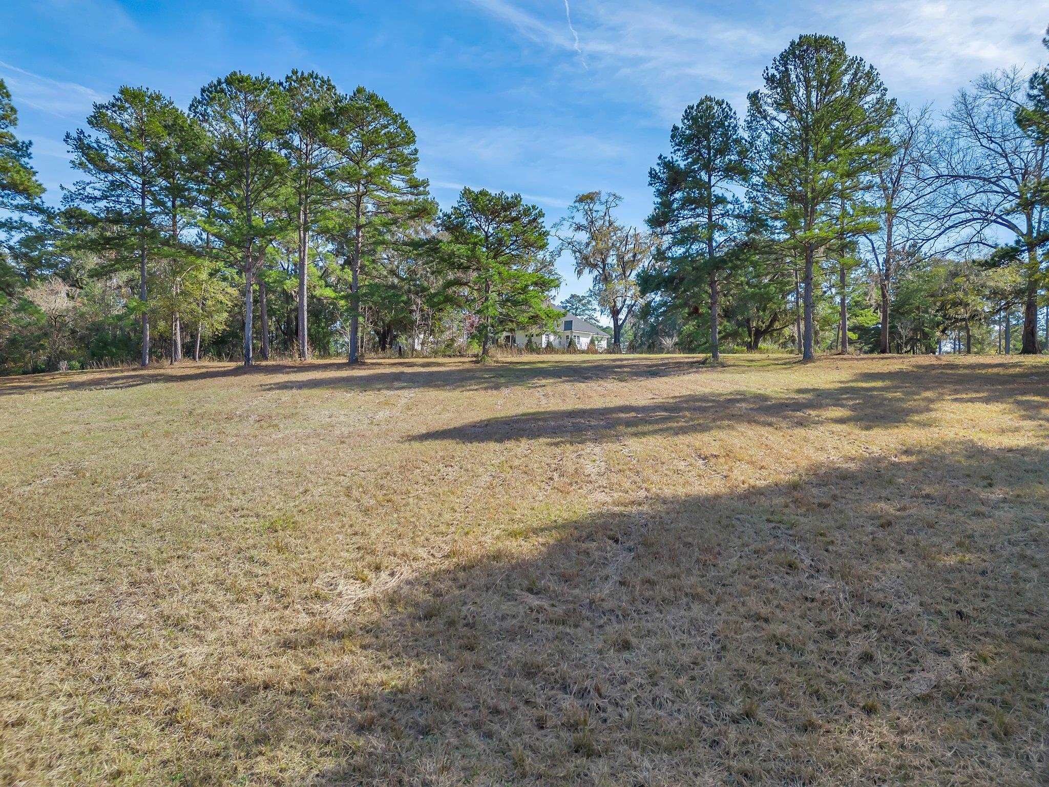 0 Pine Fair Way Tallahassee, FL 32309 - Photo 4 of 6