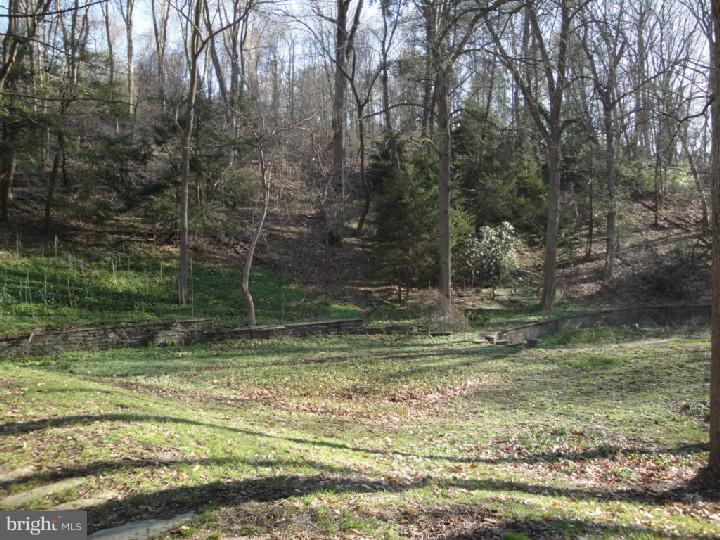 890 Wises Mill Road Philadelphia, PA 19128 - Photo 12 of 12 Gallery Image 12