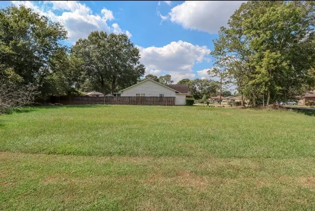 a view of a big yard with plants and large trees