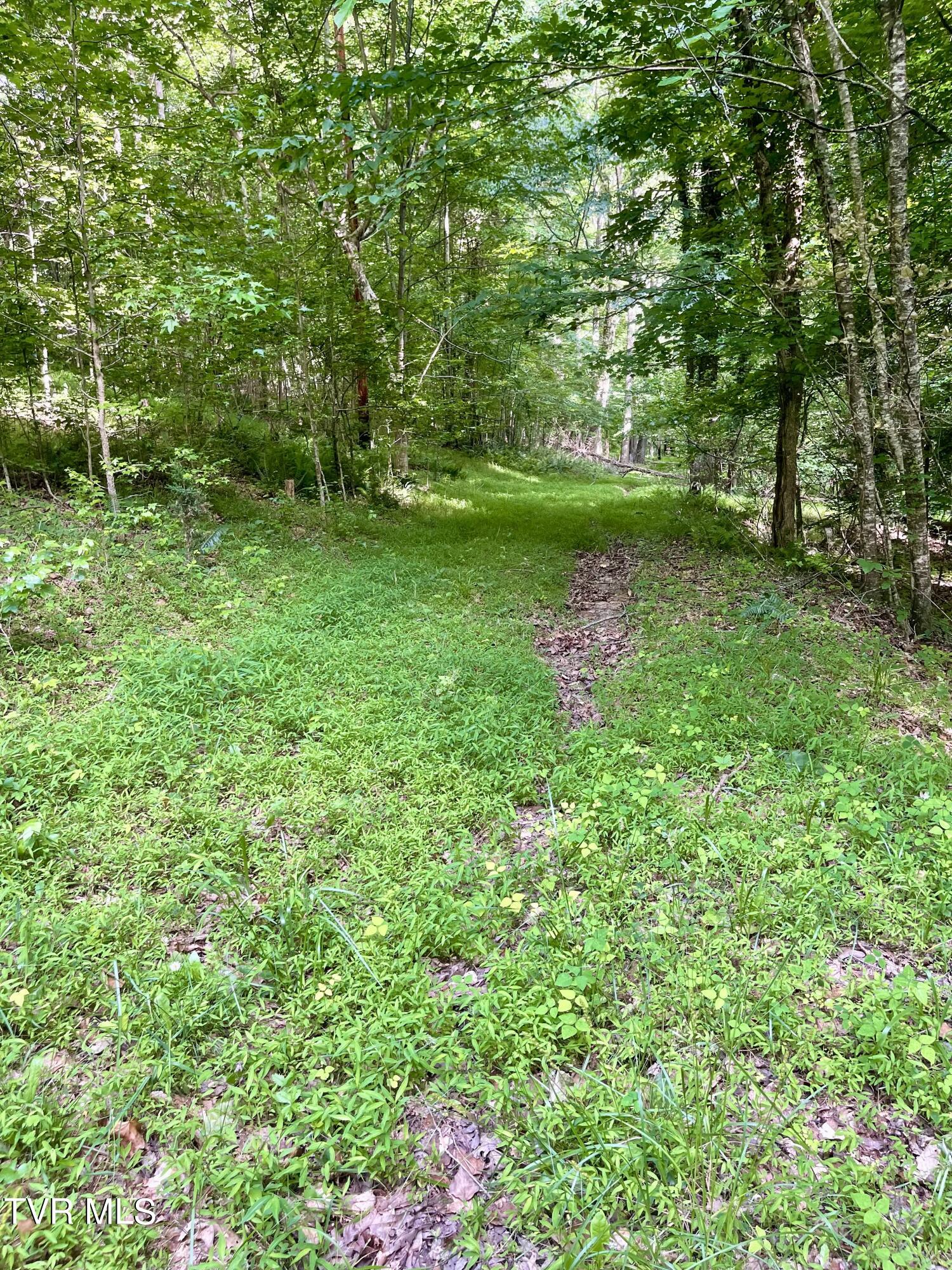 3323 Mendota Road Mendota, VA 24270 - Photo 15 of 85 image_50460161