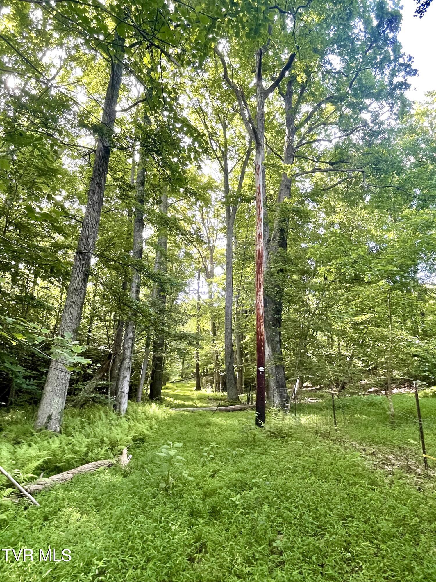 3323 Mendota Road Mendota, VA 24270 - Photo 17 of 85 image_50739457