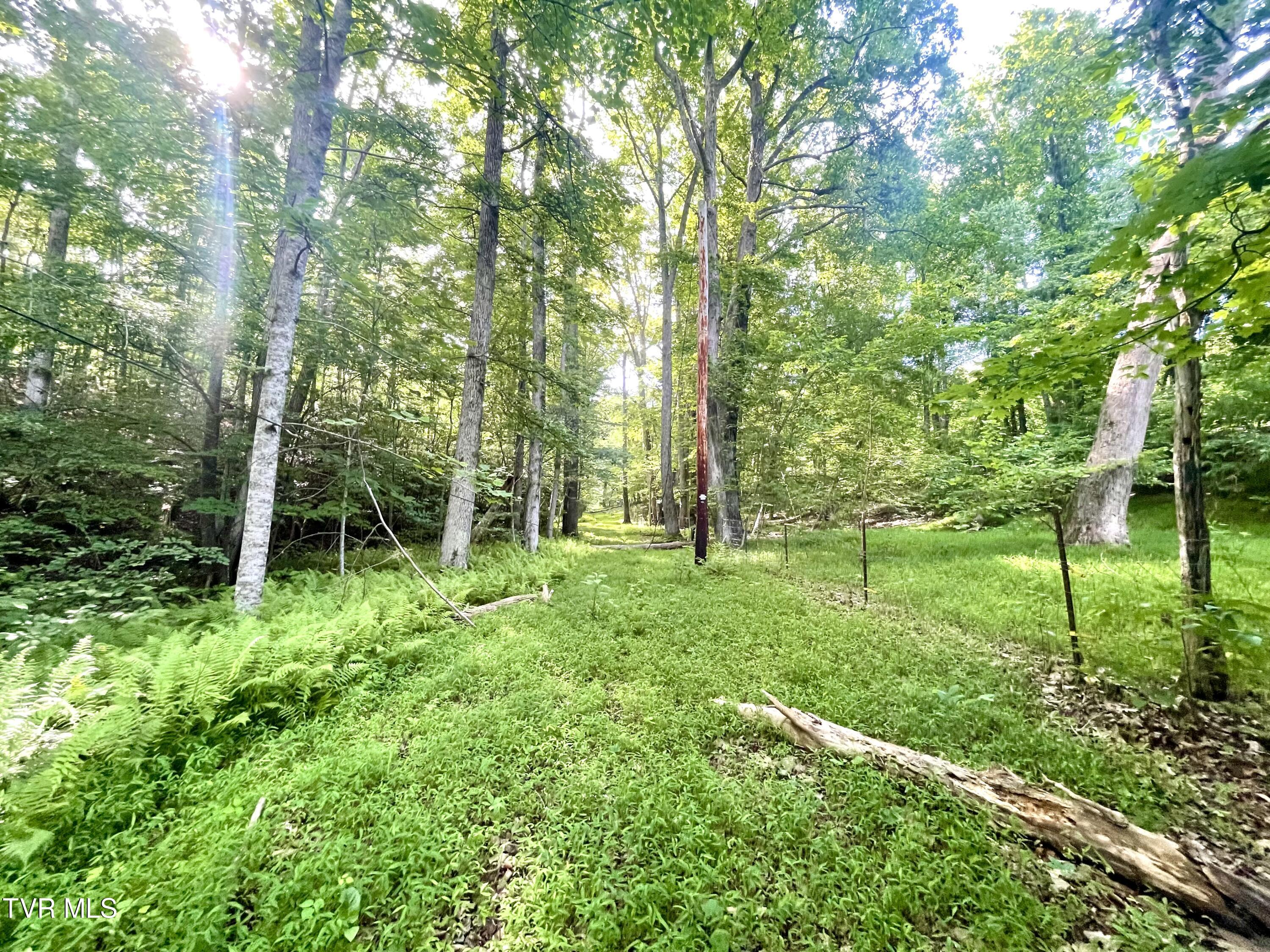 3323 Mendota Road Mendota, VA 24270 - Photo 18 of 85 image_50765569 (1)