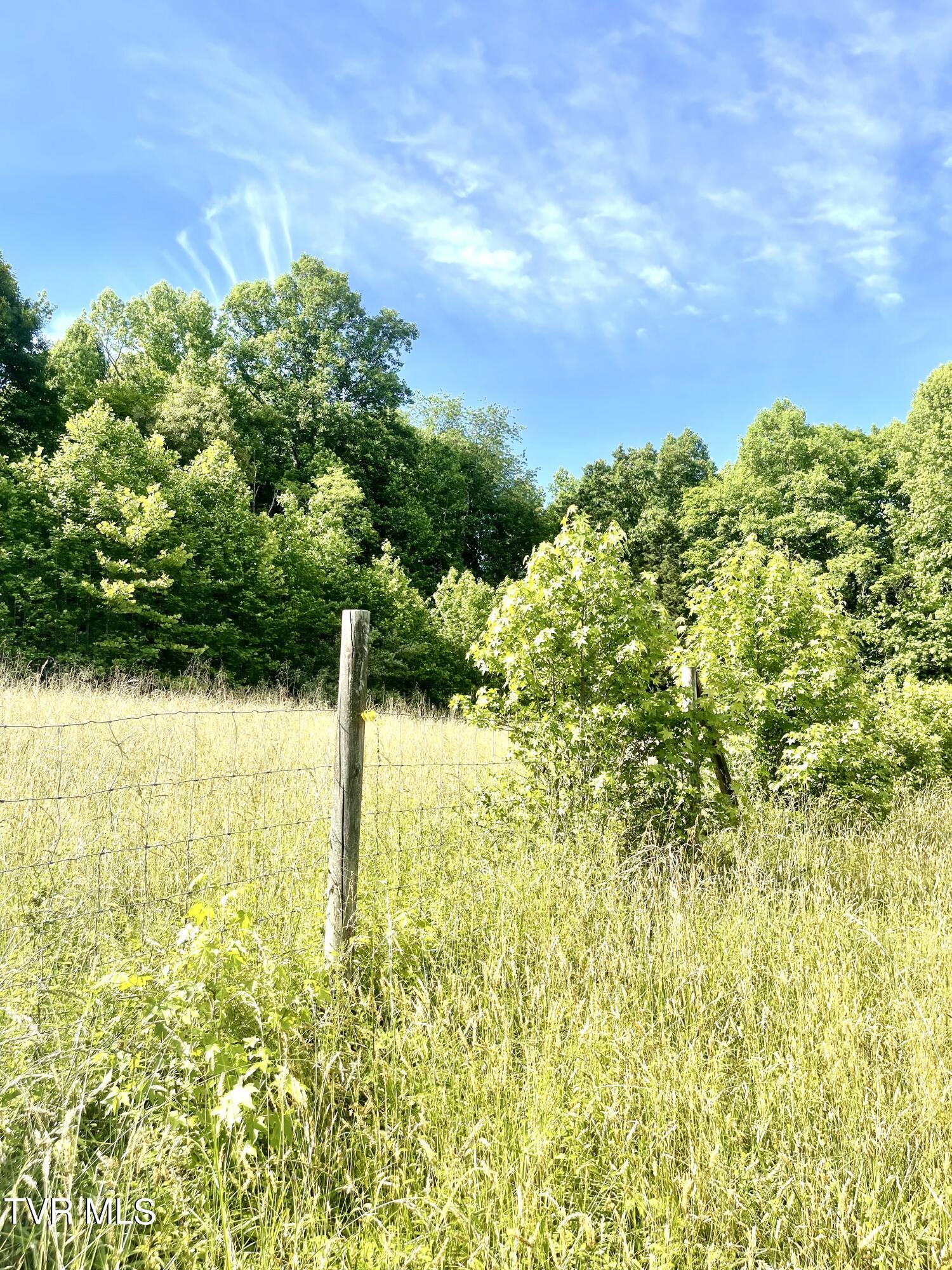 3323 Mendota Road Mendota, VA 24270 - Photo 23 of 85 image_50436353 (5)