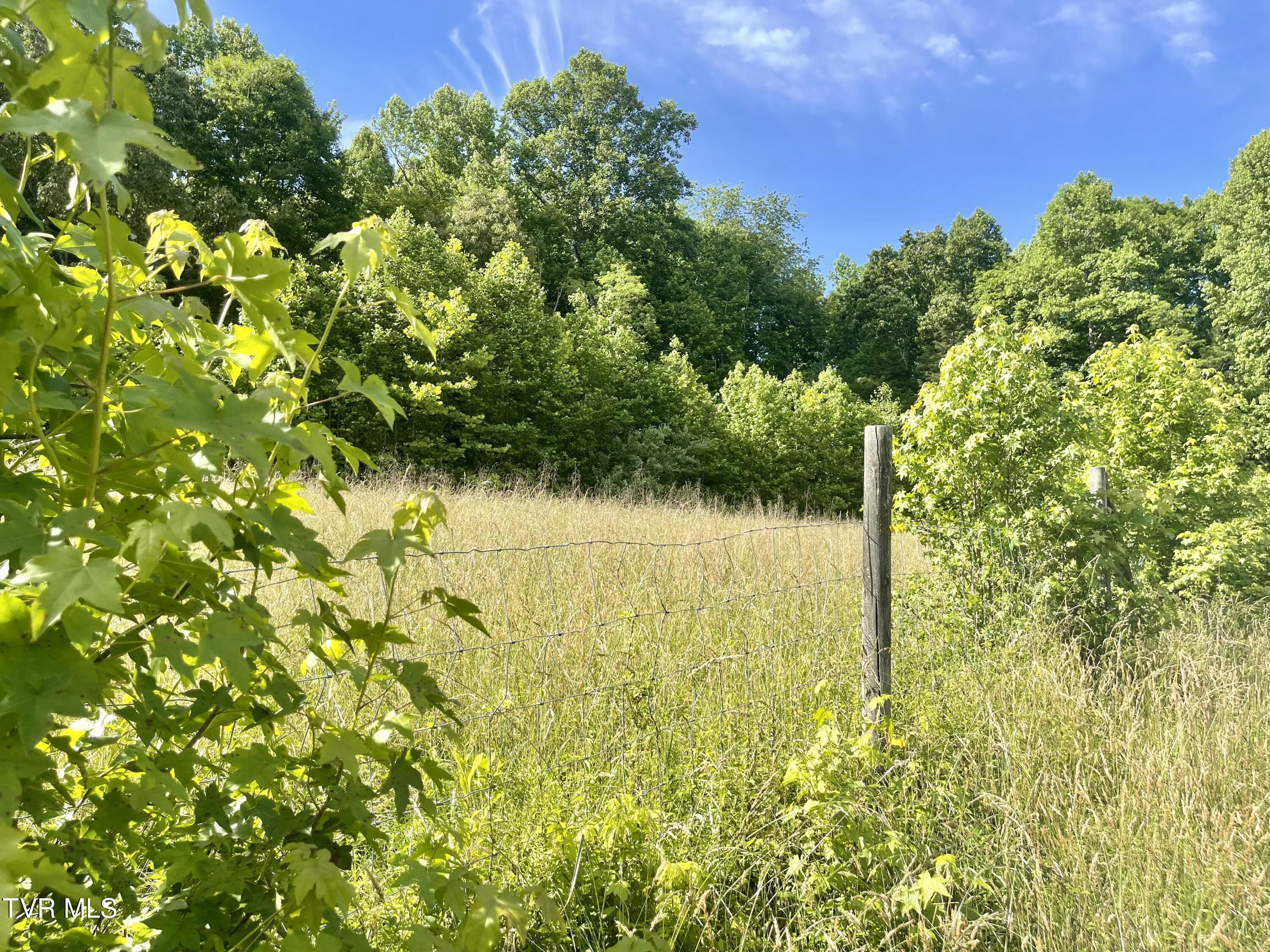 3323 Mendota Road Mendota, VA 24270 - Photo 24 of 85 image_50450433