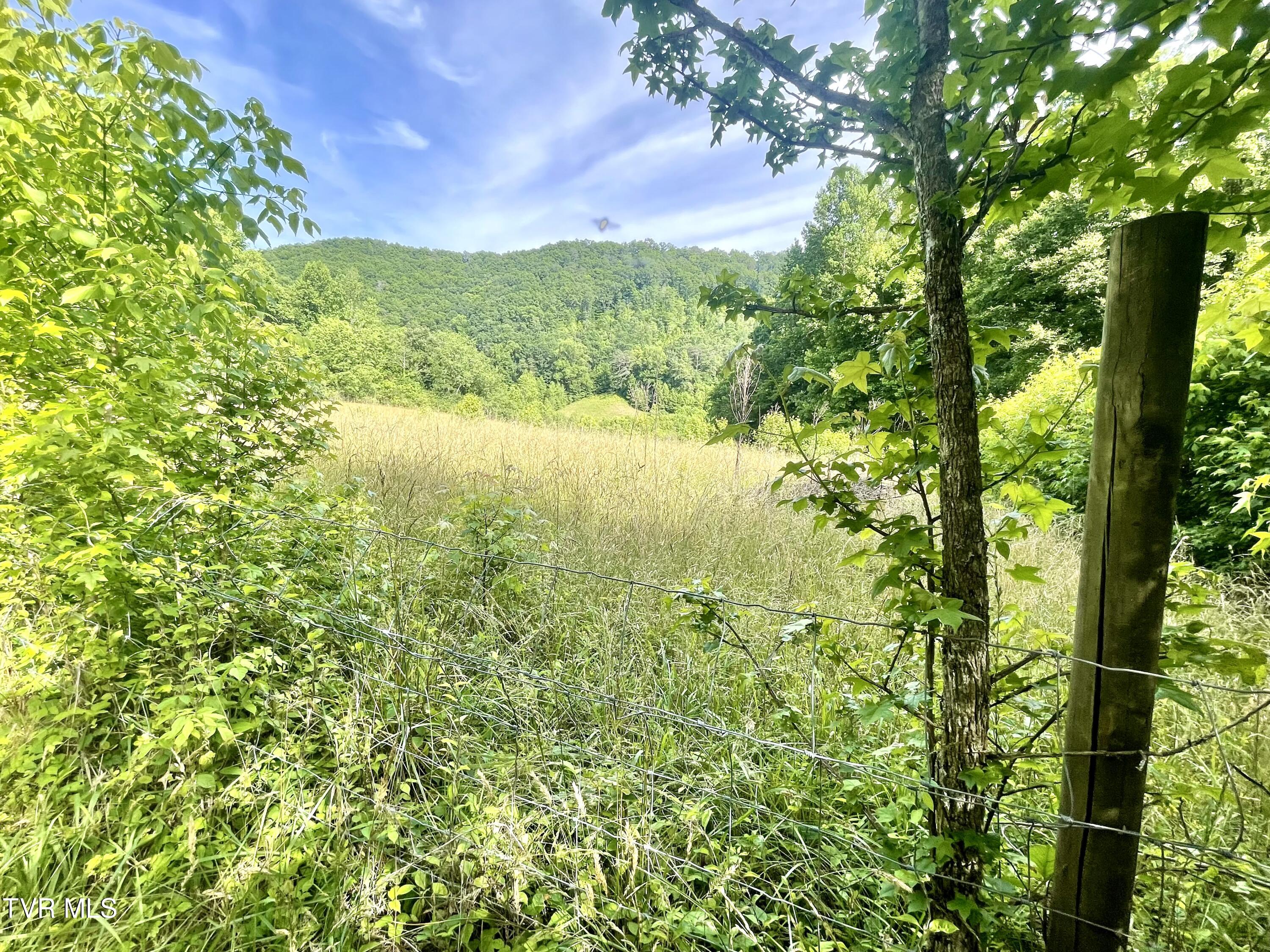 3323 Mendota Road Mendota, VA 24270 - Photo 25 of 85 image_50752001